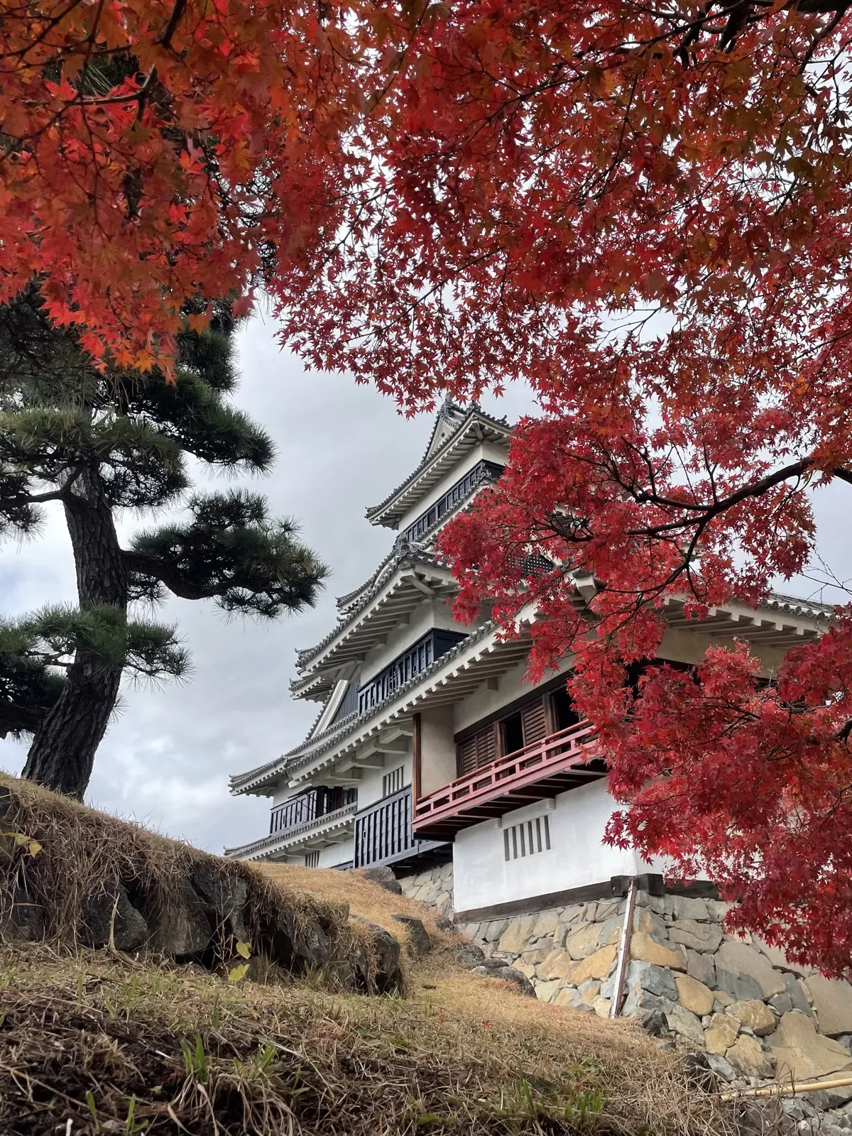 Japanese castle framed by autumn maple leaves